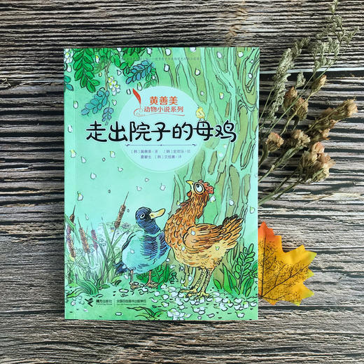 黄善美动物小说系列 走出院子的母鸡 商品图2