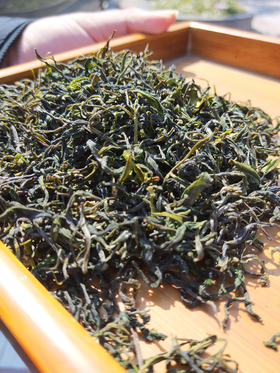 【洽舍乡徽商茶叶】黄山毛峰揉捻工艺三级250g