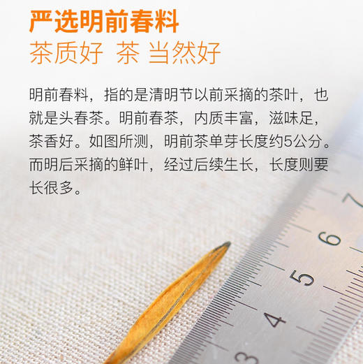 2024特大【大金针】单芽  凤庆明前头采大金针！ 商品图9