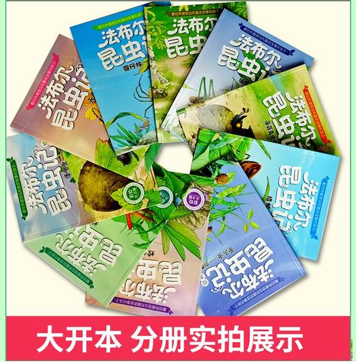 法布尔昆虫记全10册 彩绘注音版 适合3-9岁 书中每一个故事 都力求生动有趣 每一幅画面 都力求栩栩如生 以童话形式完美演绎每一只昆虫的内心世界 将故事与知识完美结合 商品图3