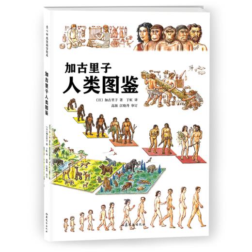 加古里子人类图鉴 商品图0