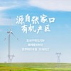 有机亚麻籽粉 250g 【减脂人群、减肥健身、宝宝辅食】包邮 商品缩略图2