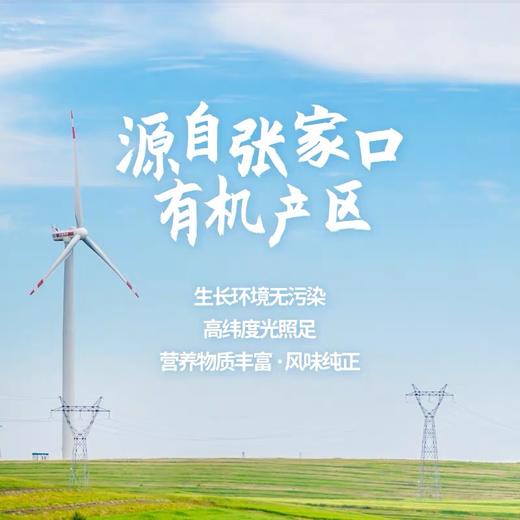 有机亚麻籽粉 250g 【减脂人群、减肥健身、宝宝辅食】包邮 商品图2