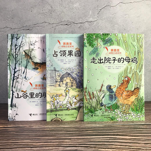 【全3册】黄善美动物小说系列 占领果园+山谷里的朋友们+走出院子的母鸡 商品图4