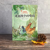 黄善美动物小说系列 走出院子的母鸡 商品缩略图1