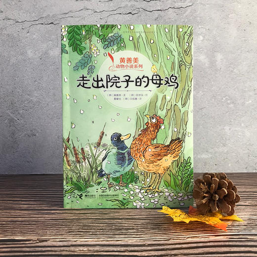 黄善美动物小说系列 走出院子的母鸡 商品图1