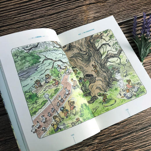 黄善美动物小说系列 占领果园 商品图3