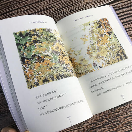 黄善美动物小说系列 山谷里的朋友们 商品图4