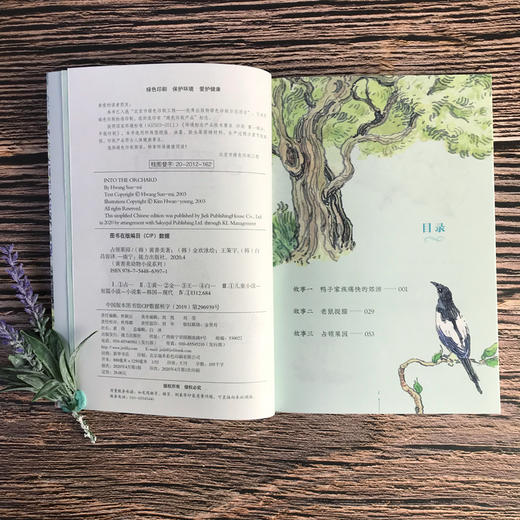 黄善美动物小说系列 占领果园 商品图2