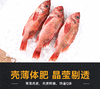 加拿大冷冻红鱼整条
500-700克/条
5kg/箱 商品缩略图4