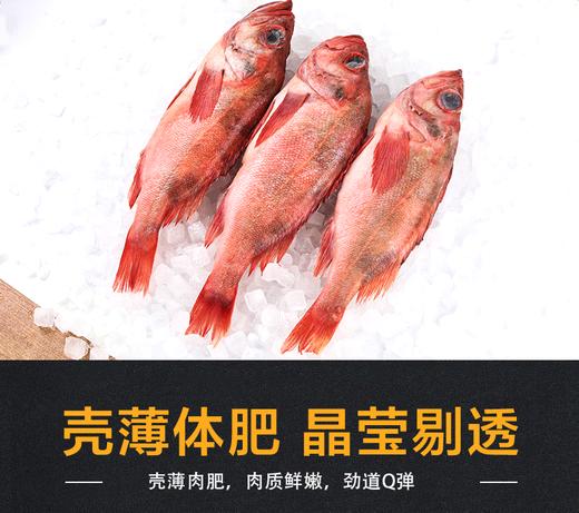 加拿大冷冻红鱼整条
500-700克/条
5kg/箱 商品图4