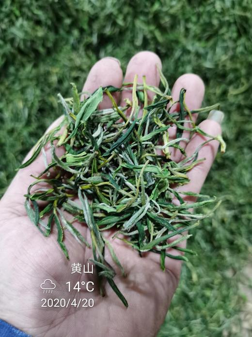 【洽舍乡龙一湾茶叶】黄山毛峰 400g 商品图2