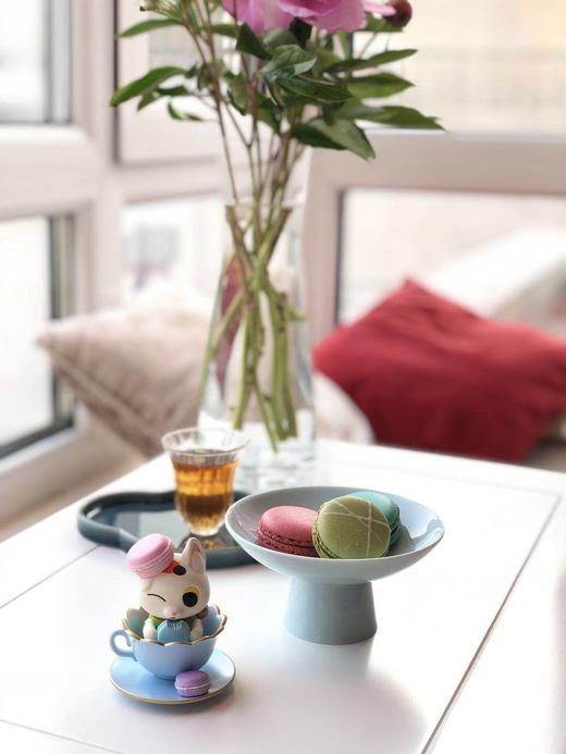 【打败天下无敌手】马卡龙 7只/罐 口味随机定期更换 只闪送，若有个别损坏还请见谅 商品图10