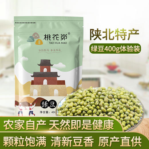 【五谷杂粮】陕北特产绿豆农家绿小豆自种食用粗粮发豆芽真空装400g*3 商品图0