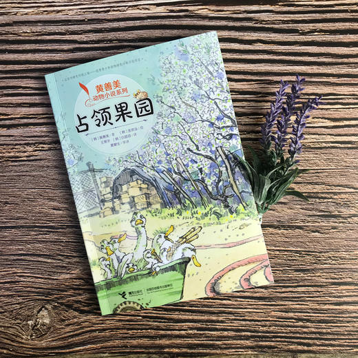 黄善美动物小说系列 占领果园 商品图4