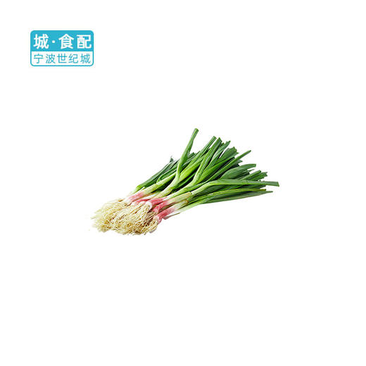 【nb】【pf】大蒜叶1斤