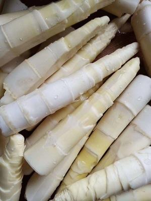 2020年新挖临安羊毛笋临安特产5斤