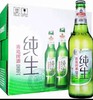 青岛纯生瓶500ml 商品缩略图0