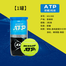 DUNLOP邓禄普网球铁罐ATP TOUR训练网球2粒装