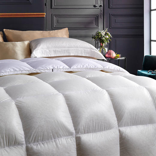 圣克鲁斯肌肤鹅绒被 商品图1