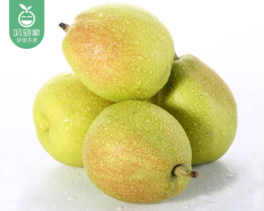 新疆库尔勒香梨（大果）/1份（1.4kg±50g） 商品图6