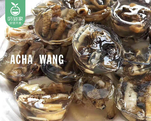 海沧三都土笋冻（圆粒）/1包（约20粒，共400g）生产日期：4月9日左右 商品图1