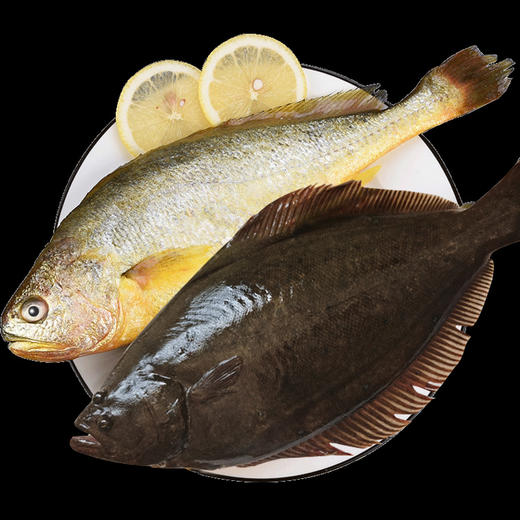 大黄花鱼牙片鱼超值组合约28斤