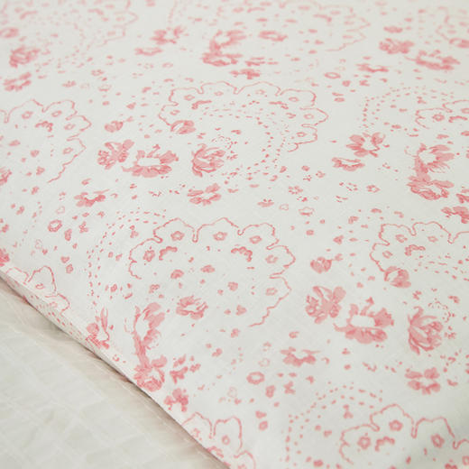 成人荞麦壳学生枕头全棉枕头枕芯 商品图4