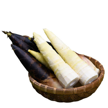 2020年新挖临安羊毛笋临安特产5斤