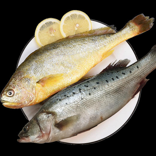 大黄花鱼鲈鱼超值组合约33斤