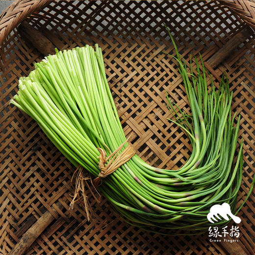 生态菏泽蒜薹 | 合作生产*Eco-young garlic shoot | Coproduction 商品图0