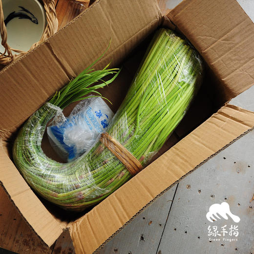 生态菏泽蒜薹 | 合作生产*Eco-young garlic shoot | Coproduction 商品图3