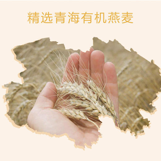 有机皮燕麦 610g  推荐人群：减肥、健身人群 商品图3