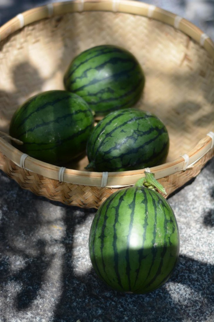 现摘鲜甜有机奶萌脆瓤小西瓜一箱十斤包邮
