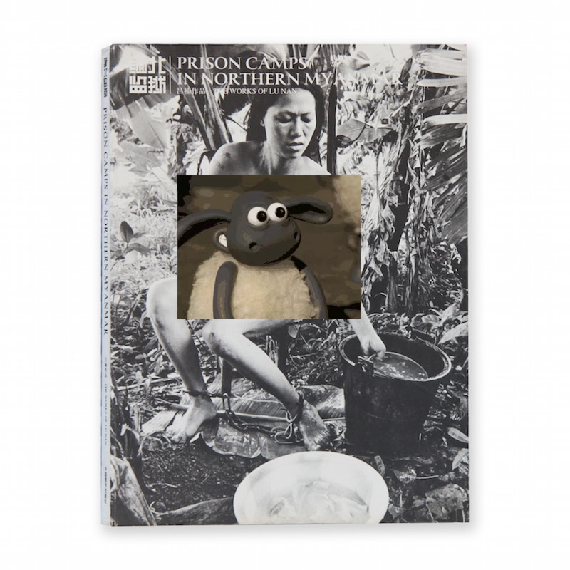 《缅北监狱》吕楠/全新正版/映画廊出品