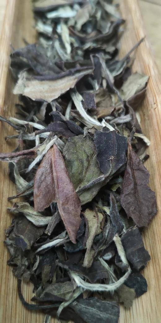 第12问：白茶的秋茶为什么是五颜六色的？ 商品图0