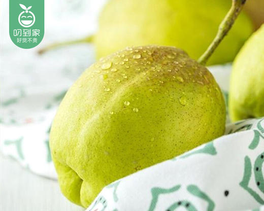 新疆库尔勒香梨（大果）/1份（1.4kg±50g） 商品图3