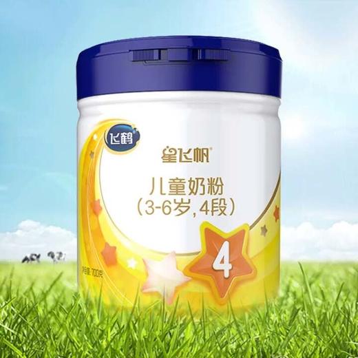 飞鹤星飞帆4段700g 商品图0