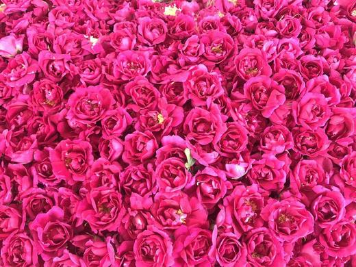 丨生态丨苦水玫瑰（天然富硒） 商品图6