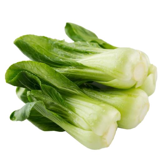 上海青 商品图0