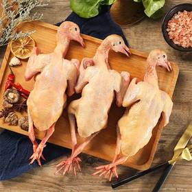 【GY】鲜鸽子 约350g-400g/只