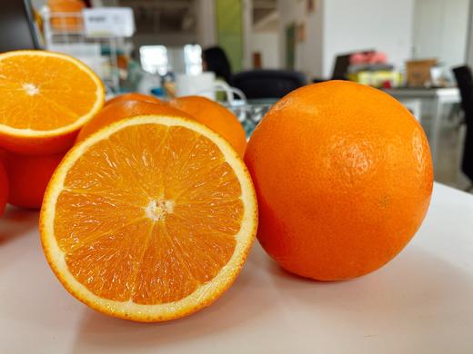 【嘉兴市包邮】24.9元纽荷尔橙6斤装带箱 薄皮甜橙子 生鲜水果 商品图0