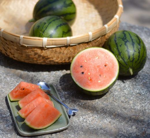 现摘鲜甜有机奶萌脆瓤小西瓜一箱十斤包邮