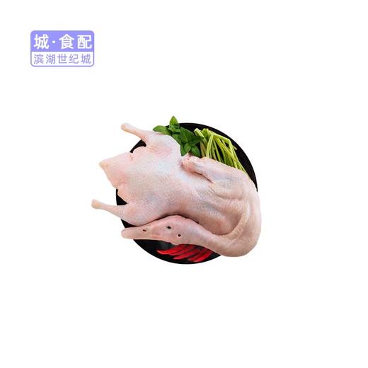 【BH】【TG】【城市配】老鸭 （约3斤） 商品图0