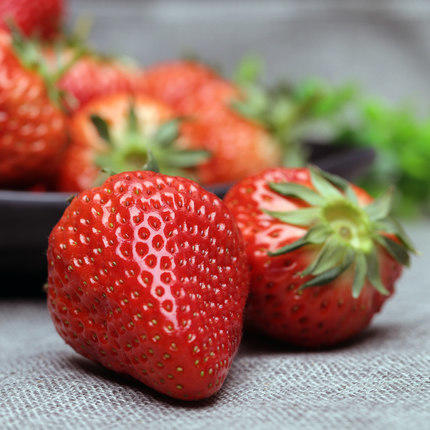 红颜草莓300克 商品图2