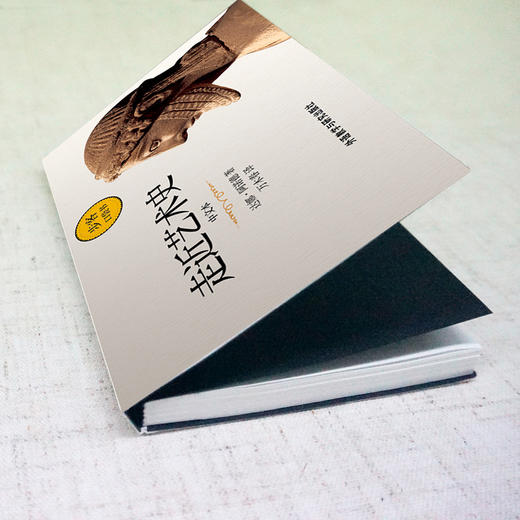 走近艺术史(中文本)(步客口袋书) 商品图4