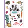 我的自然笔记 厨房探秘 商品缩略图0