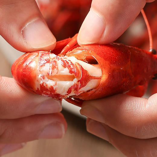 麻辣小龙虾600g*1盒 商品图2