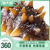 张奶奶 即食海参（10-14头）500g 商品缩略图0