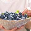 长白山蓝美眉蓝莓 | 原始天然、稀有个大 商品缩略图3